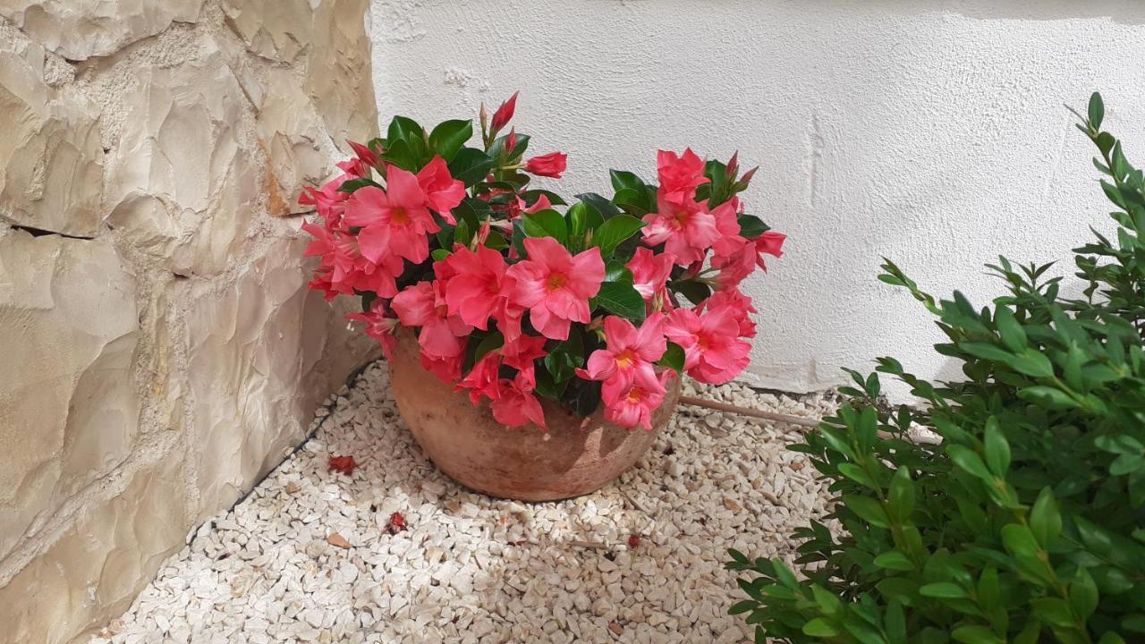 Apartman Nina Vodice Exteriör bild